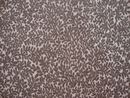 Altamira beige com